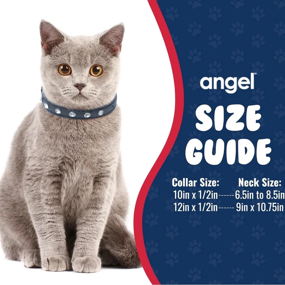 Angel Pet both are
