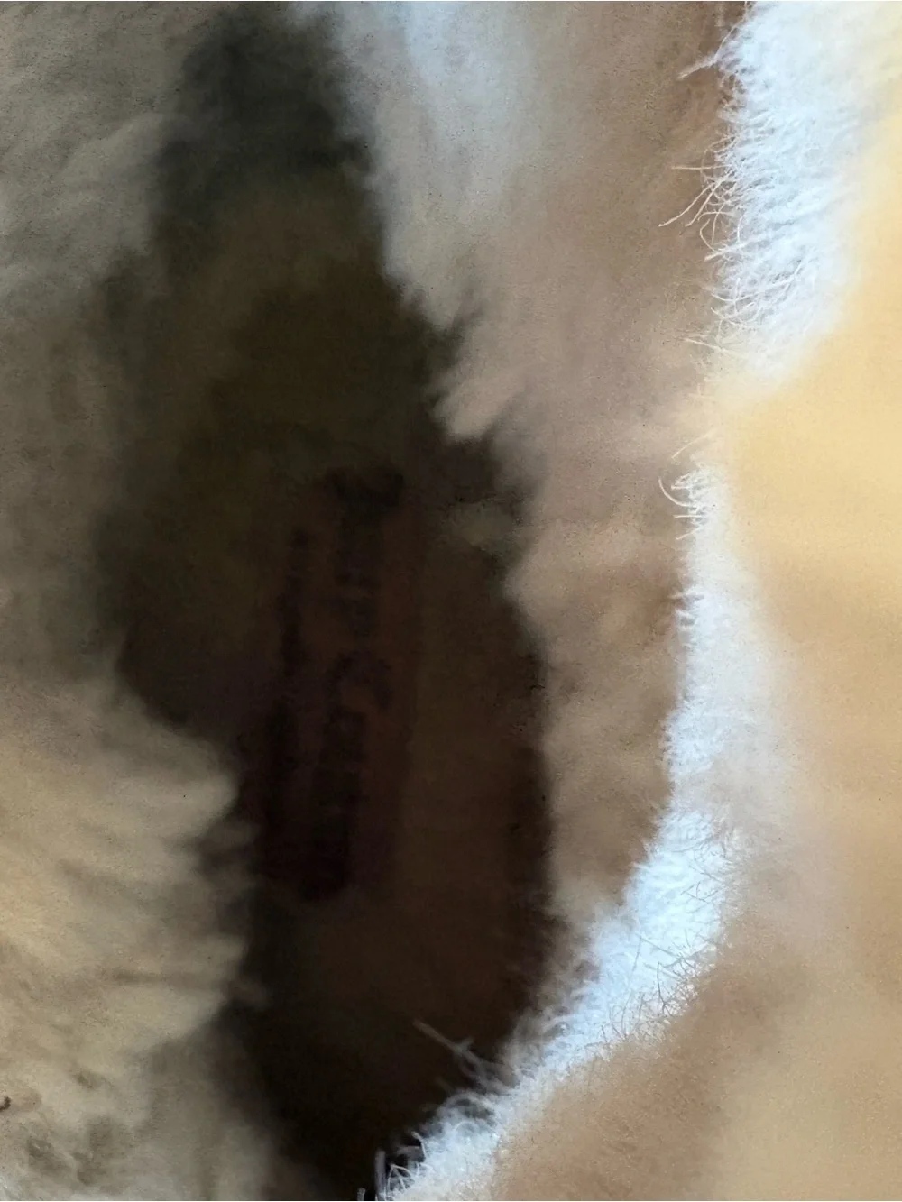 Juicy Couture insole fashionable