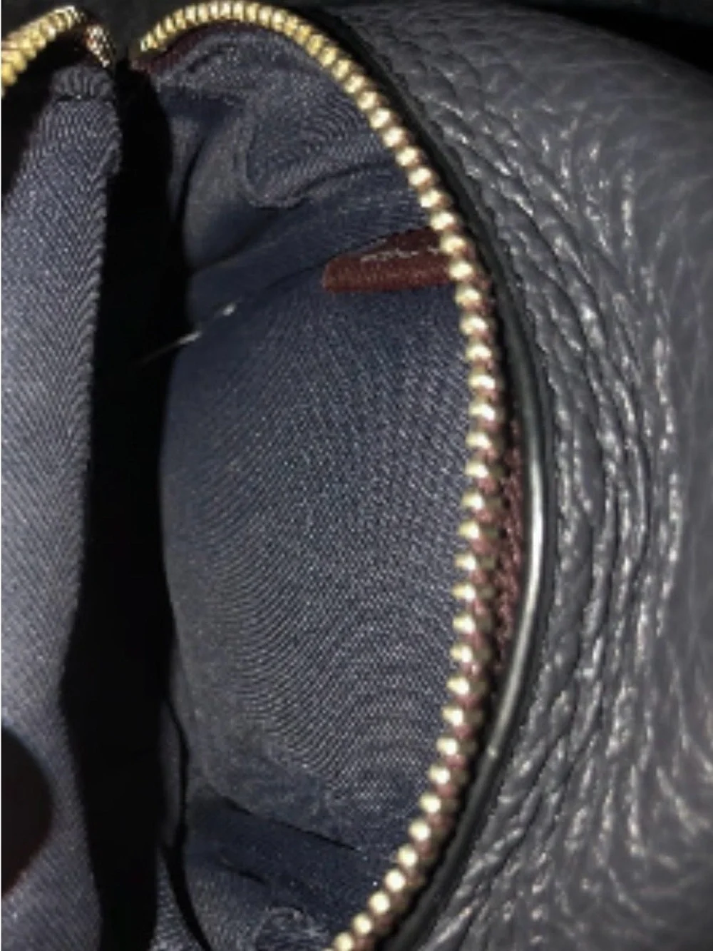 Coach mini backpack