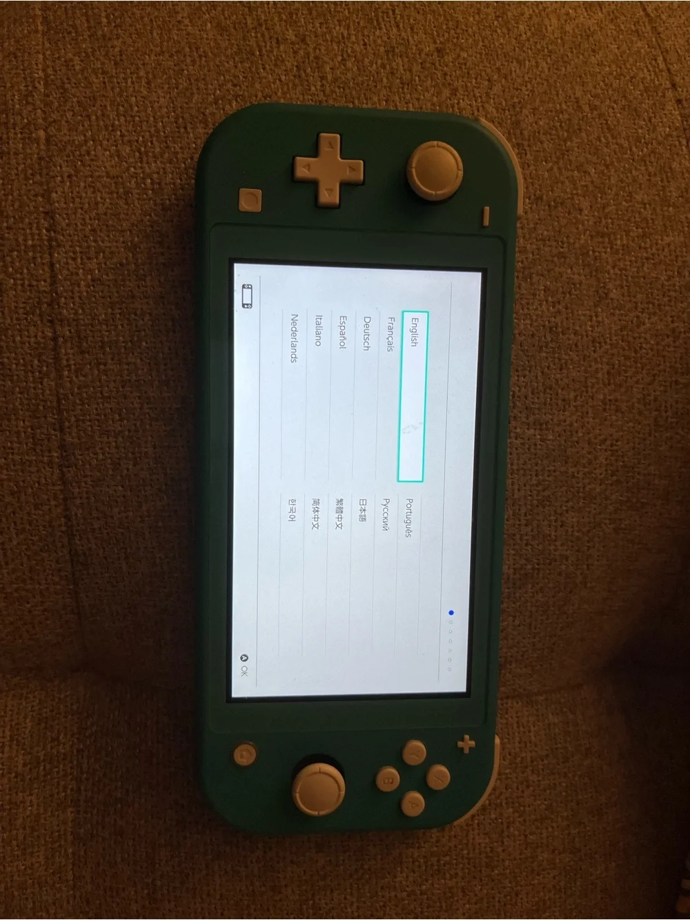 Nintendo Switch Lite and accessories