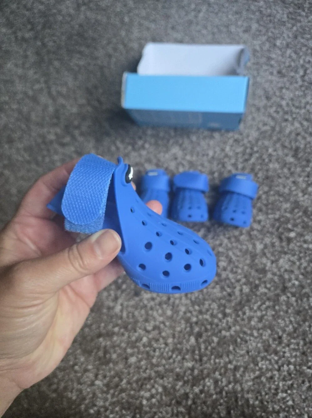 phymorse soft flexible
