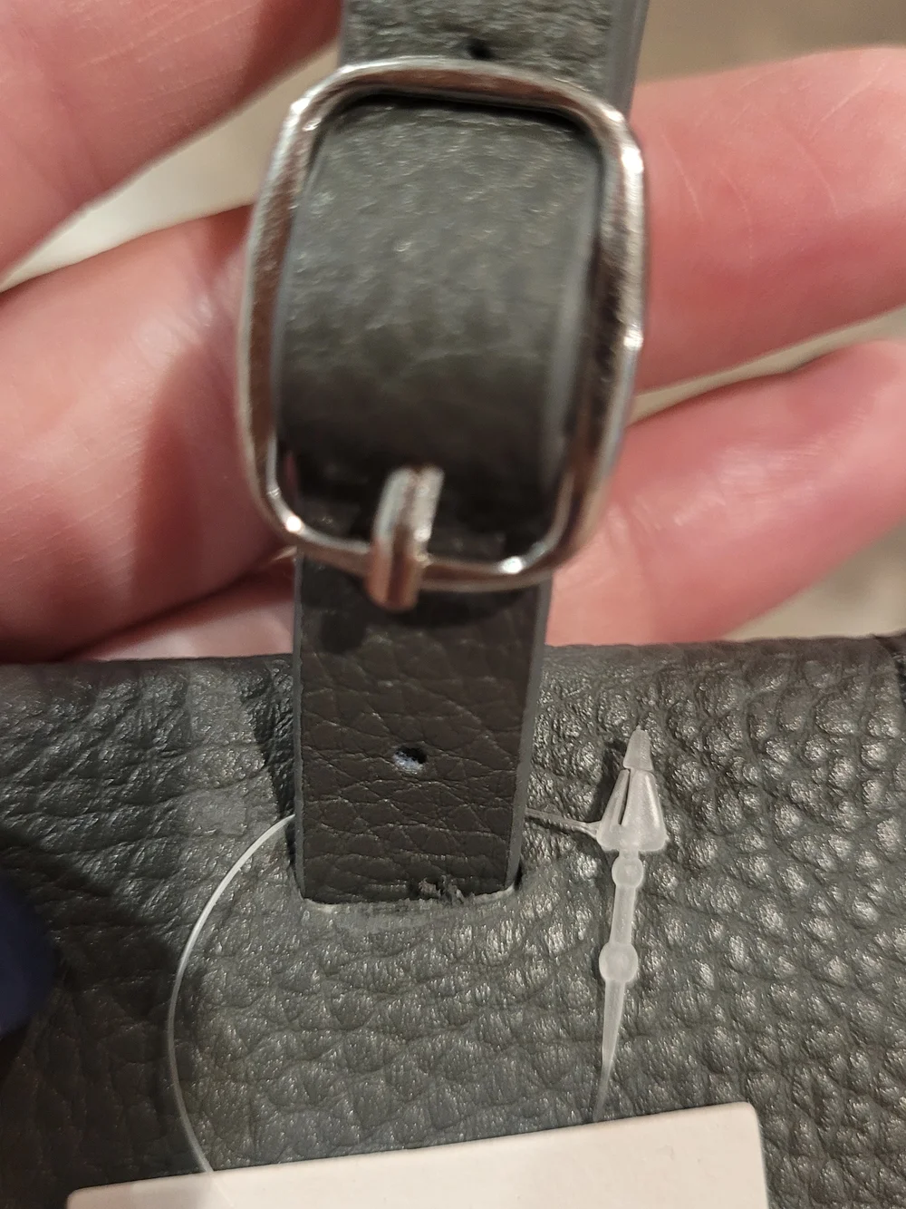 thirty-one privacy tag