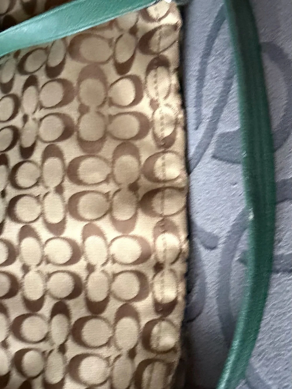 Coach hobo bag