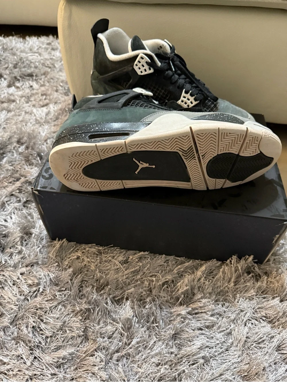 Jordan iconic silhouette