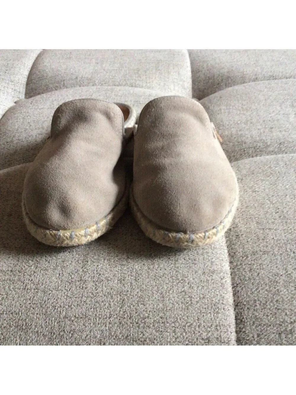 Verbenas stylish easy