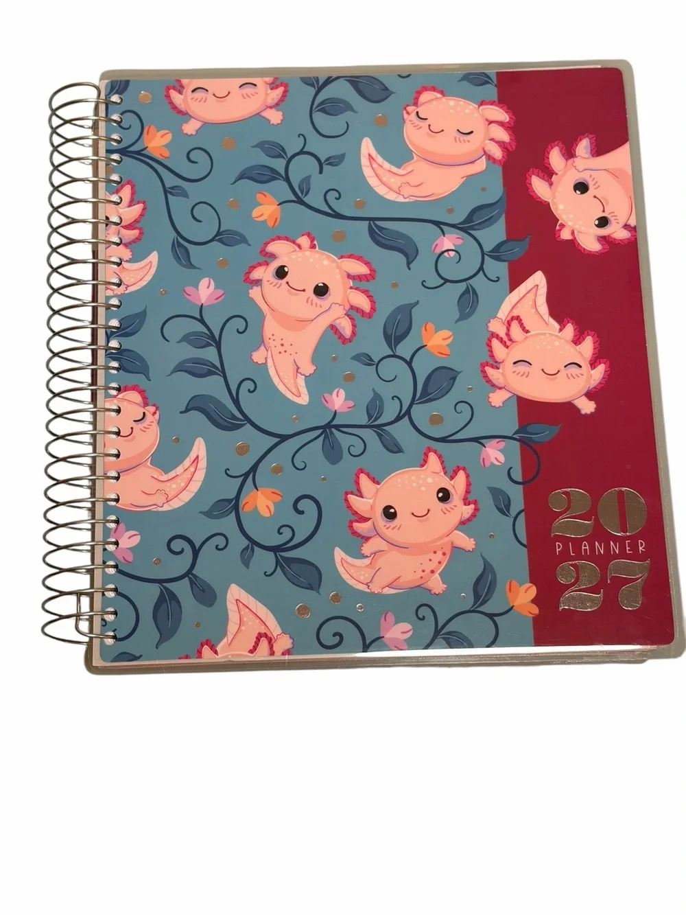The Creative Expert stay organized