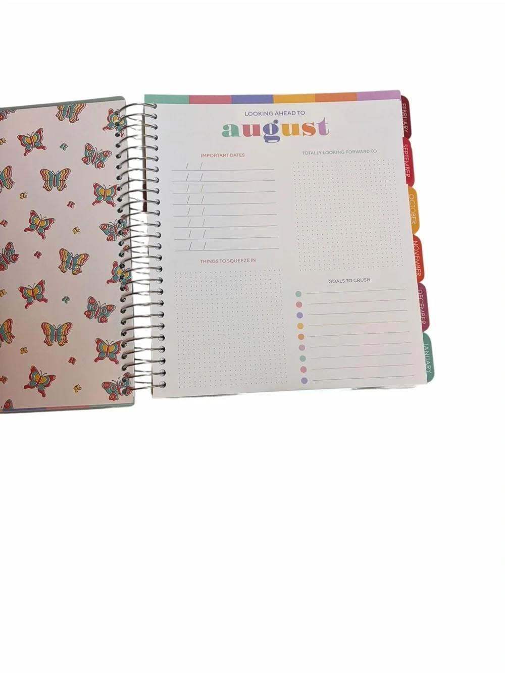 The Creative Expert stay organized