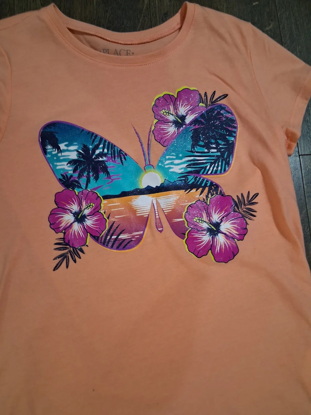 The Childrens Place Kids Butterfly Graphic Matching Set Short Sleeve Shorts