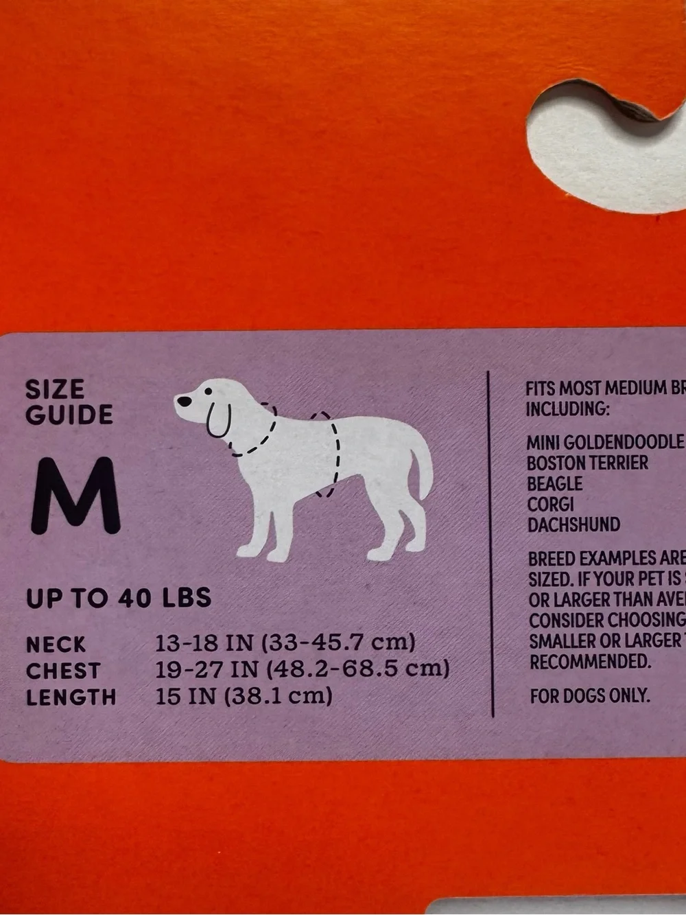 Boots & Barkley plush white