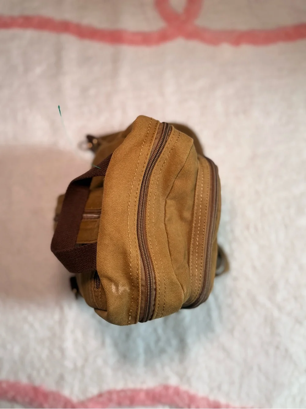 Augur compact brown
