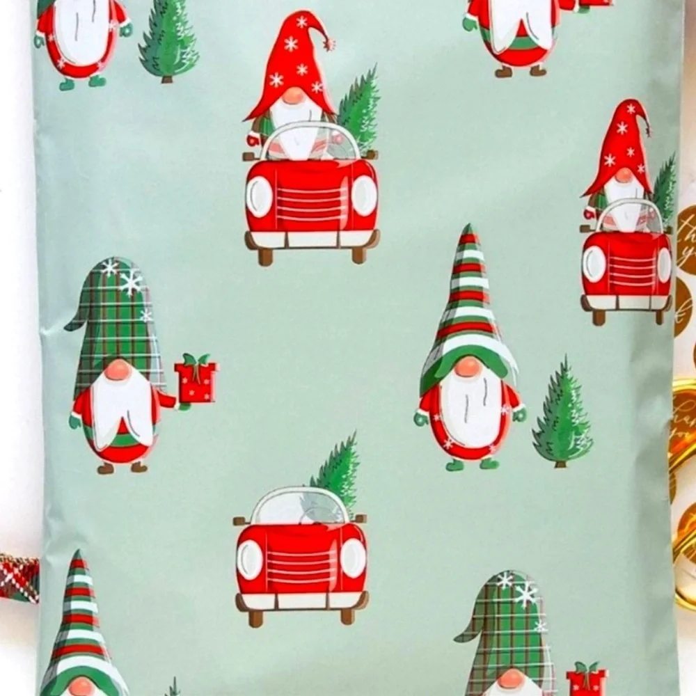 N/A christmas gnome