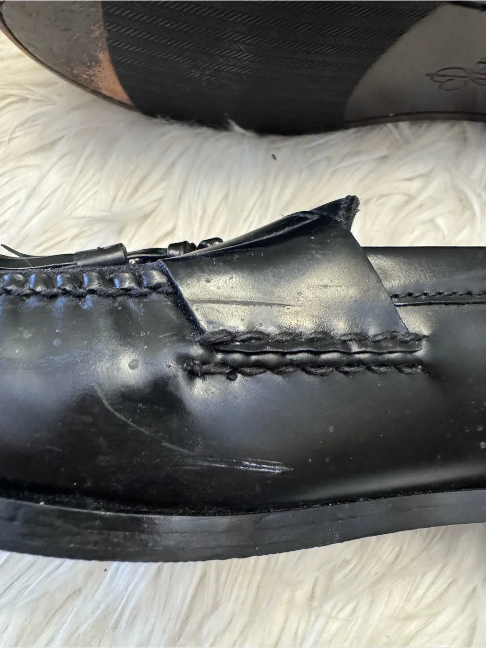 Cole Haan cole haan