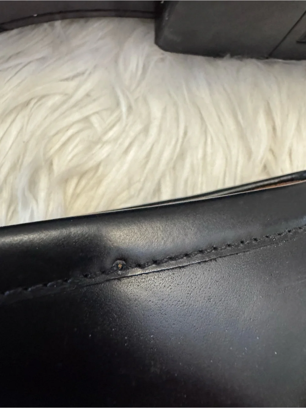 Cole Haan cole haan