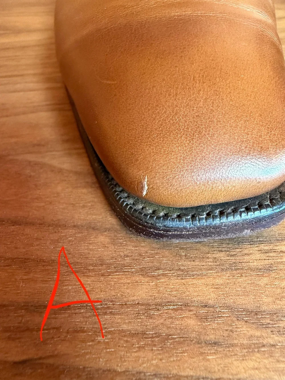 Ralph Lauren shoe you