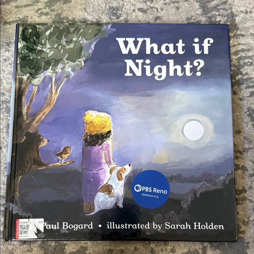 Scholastic What if Night? Children’s Picture Book – Purple, Blue, Yellow, White