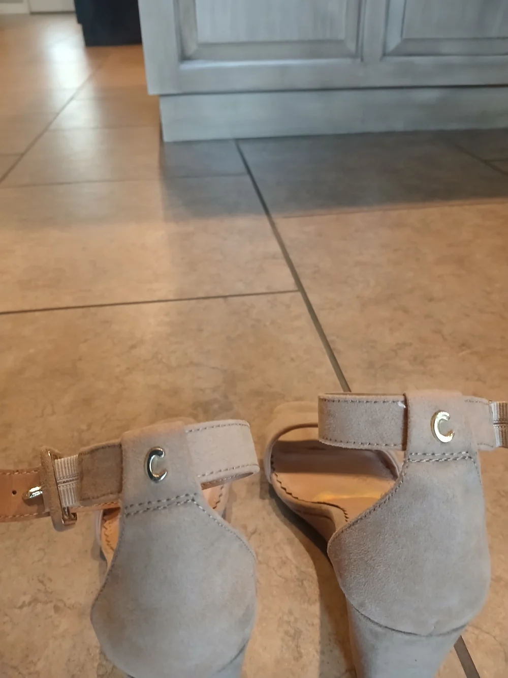 Circus by Sam Edelman elegant suede