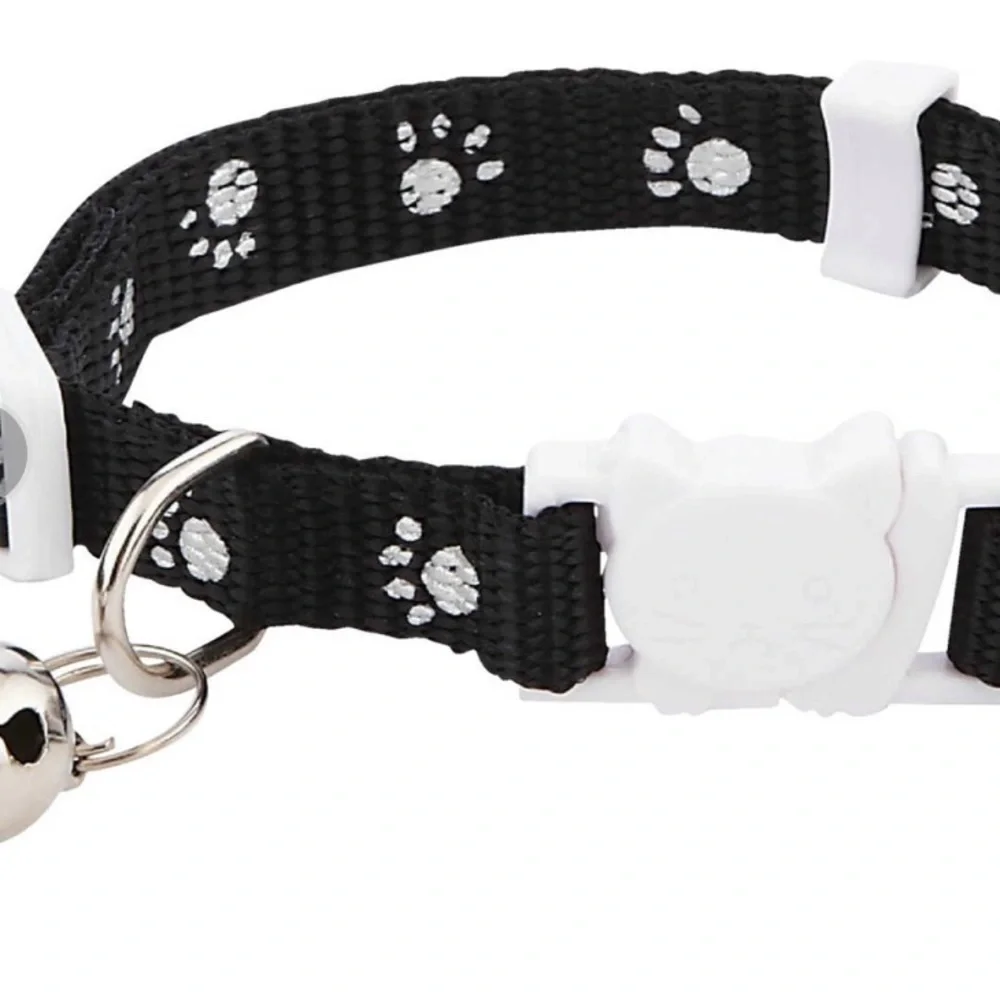 Westminster adjustable cat