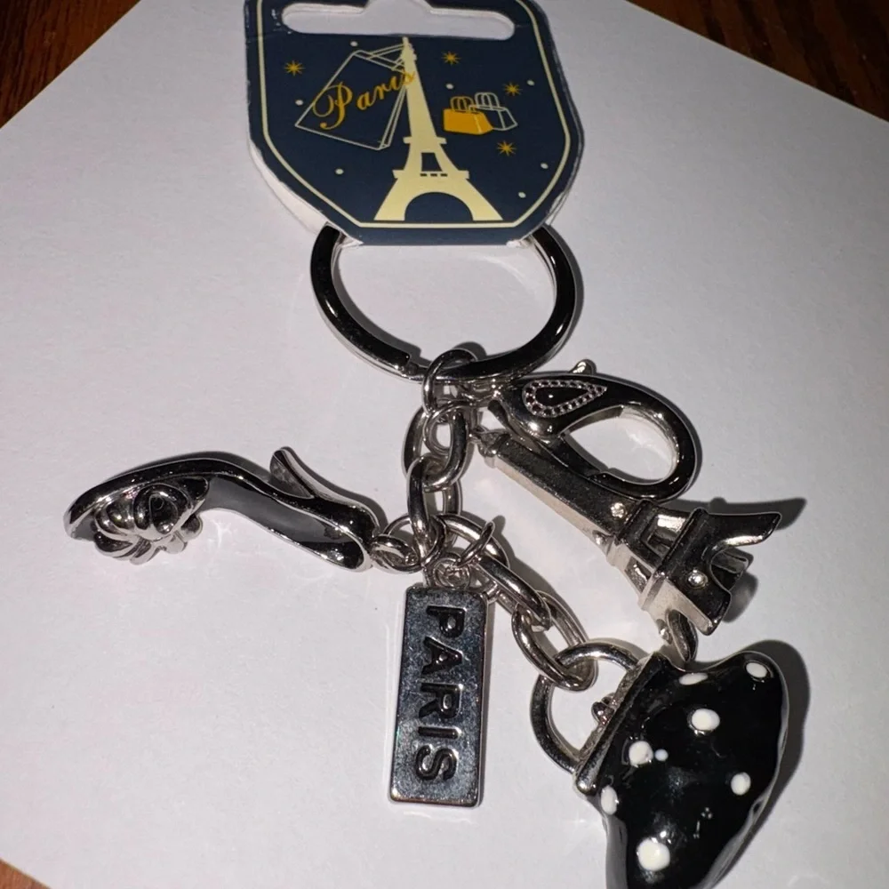 Paris stylish silver