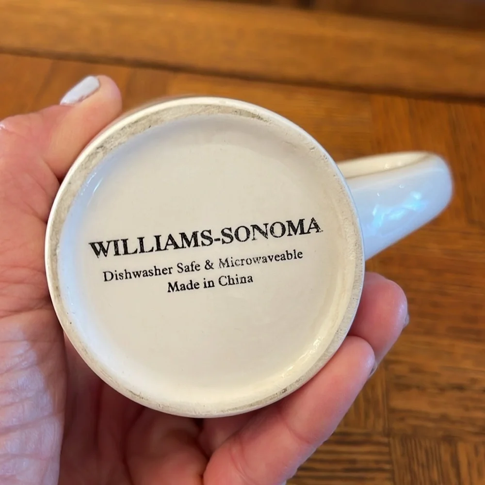 Williams Sonoma excellent used