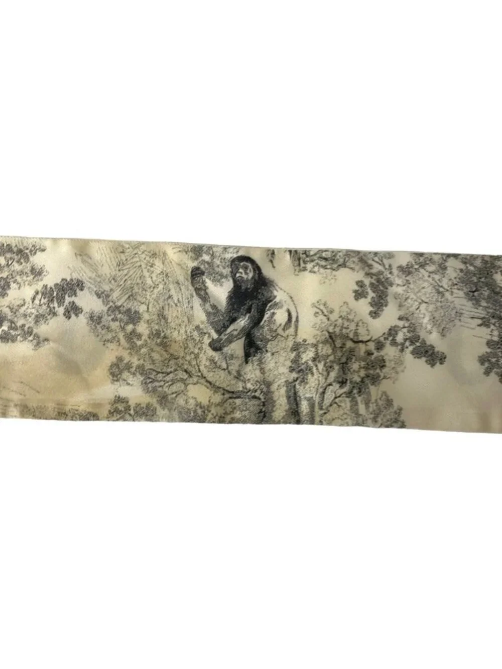 Dior category scarf