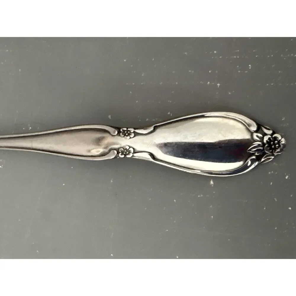 Oneida community stainless
