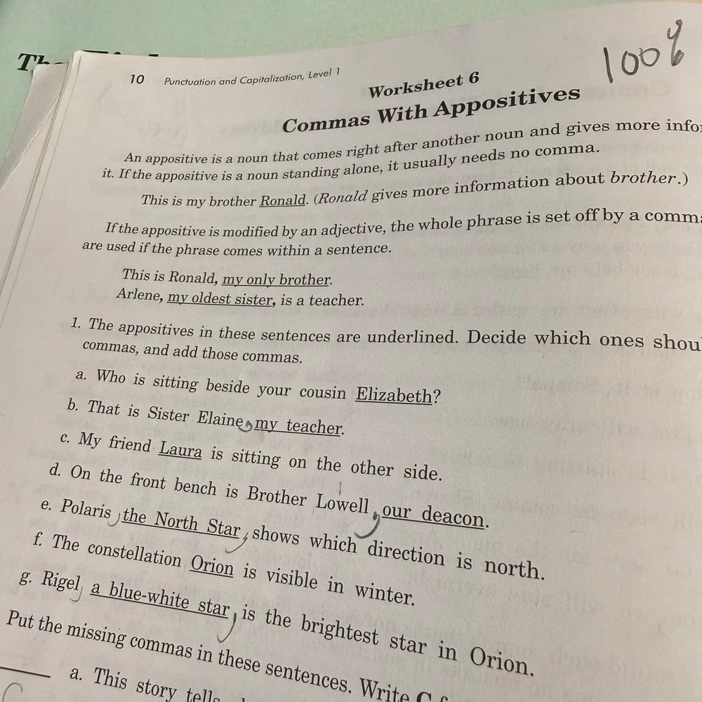 Rod and Staff English Worksheets Level 1 Grades 3-5 Teacher Manuals Student Set