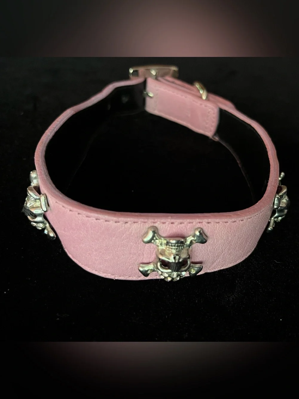 Hamptons Hounds from length embellished
