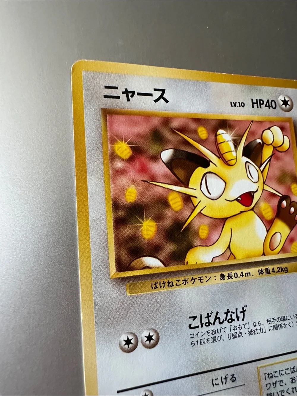 Pokemon this japanese