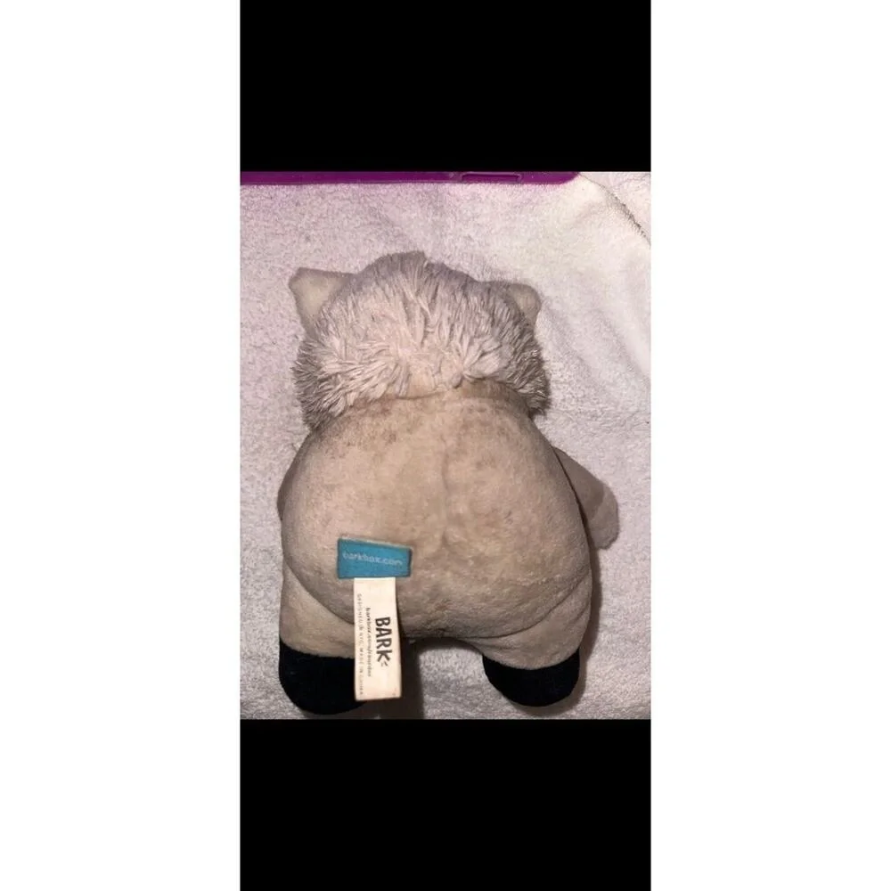 Bark box cat