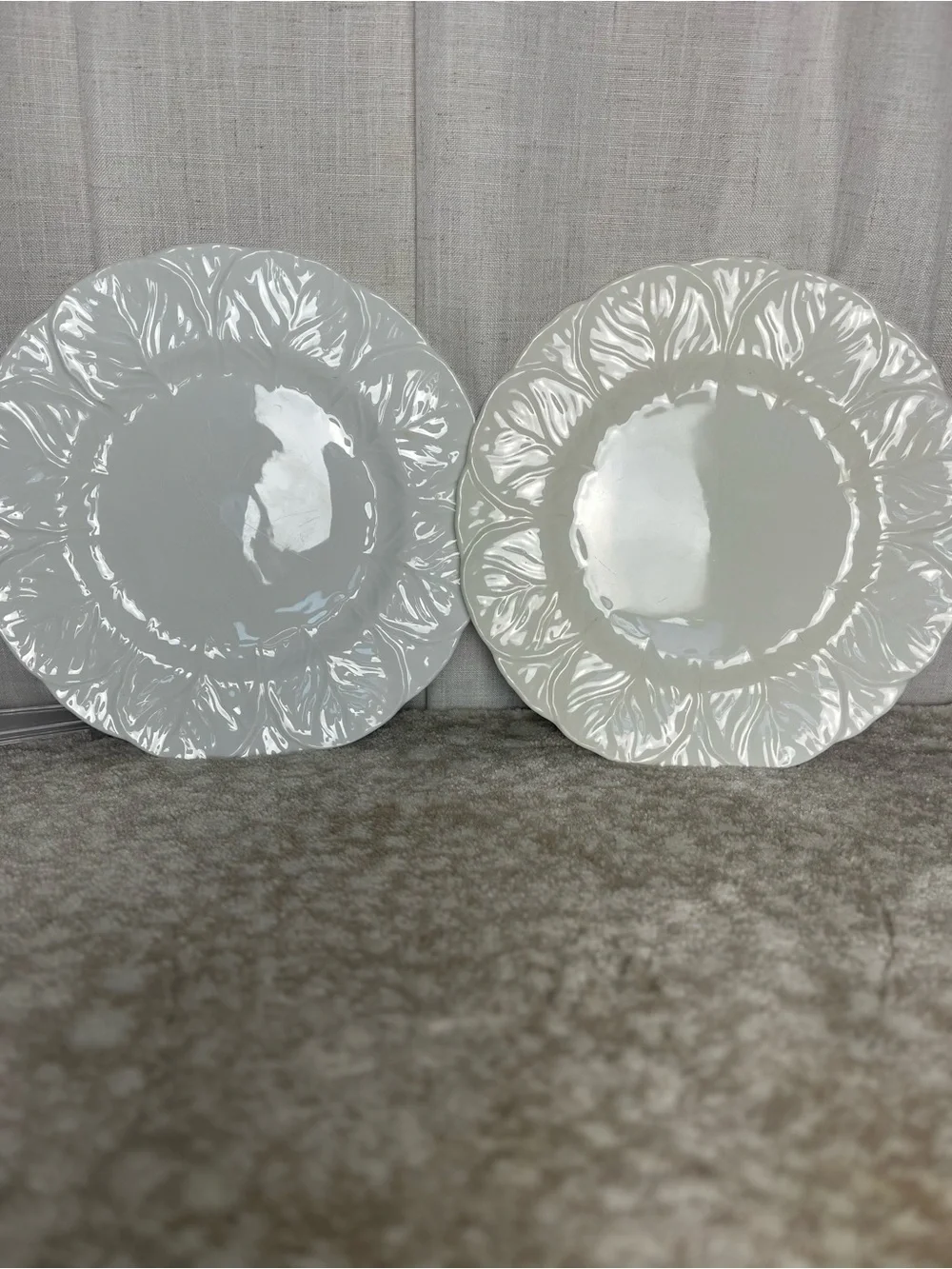 Wedgewood Coalport Countryware  Dinner Plates - Set of 2