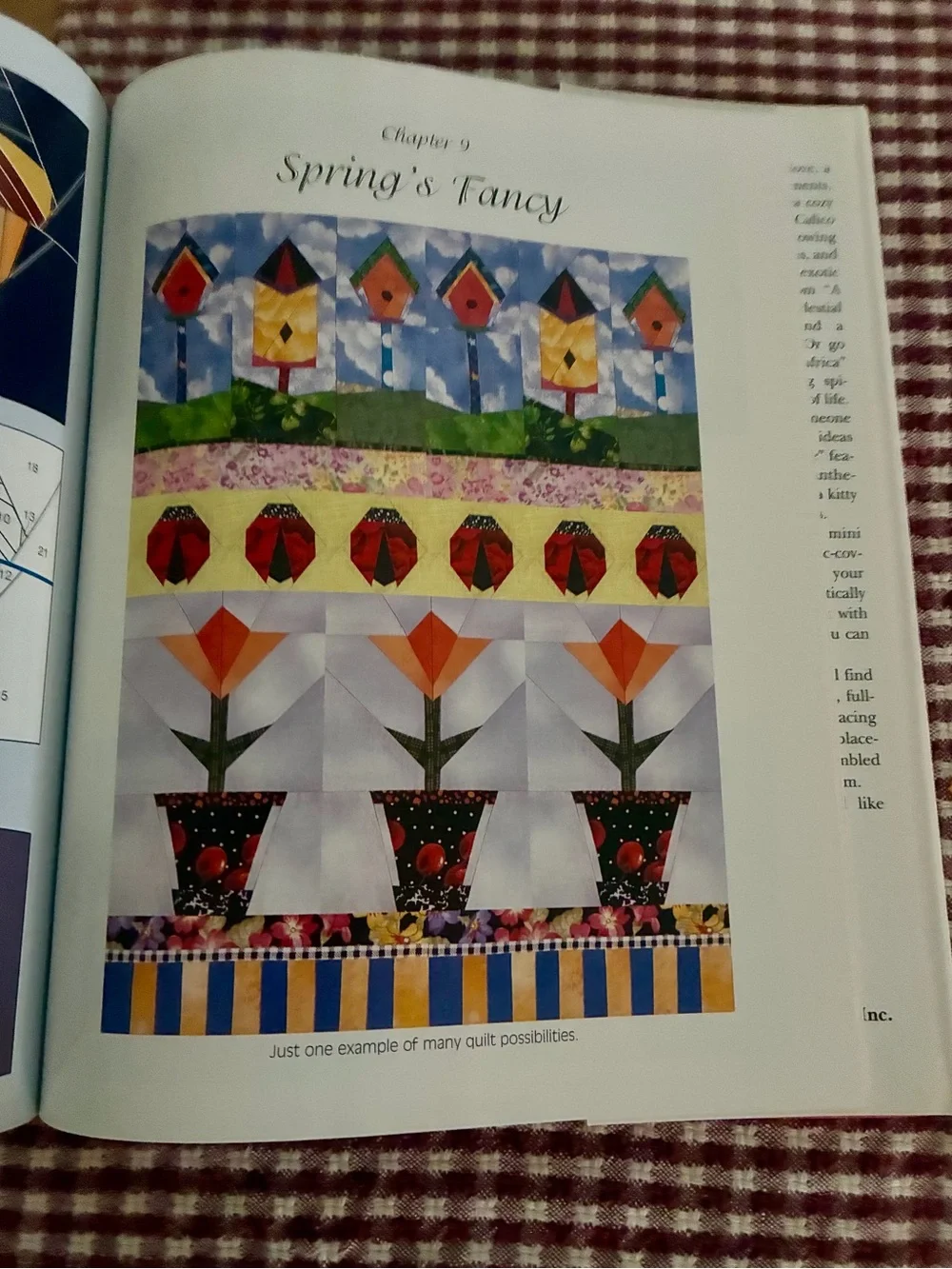 Sterling Publishing Co.,Inc NEW YORK presents vibrant
