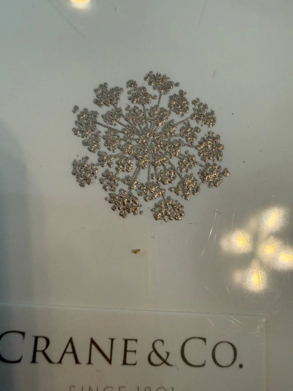 Crane new box