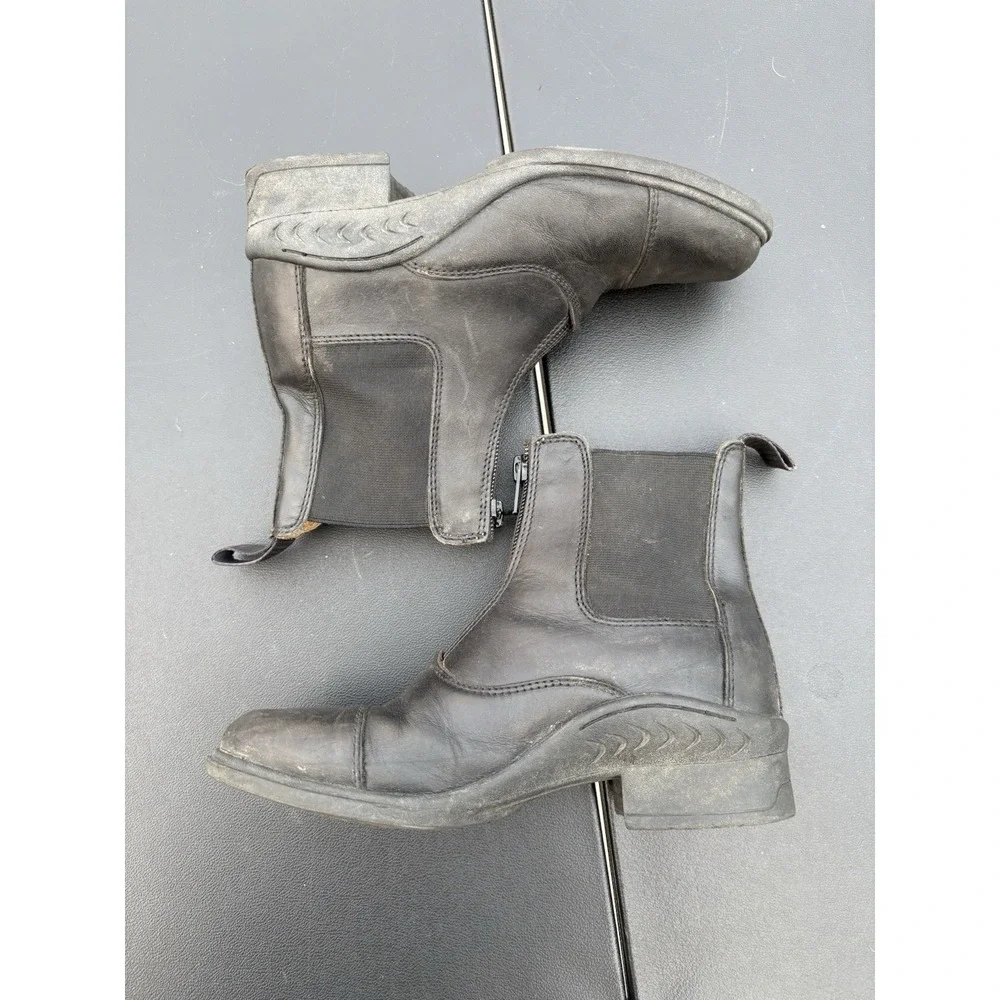 Equestrian Equine Shop equestrian equine