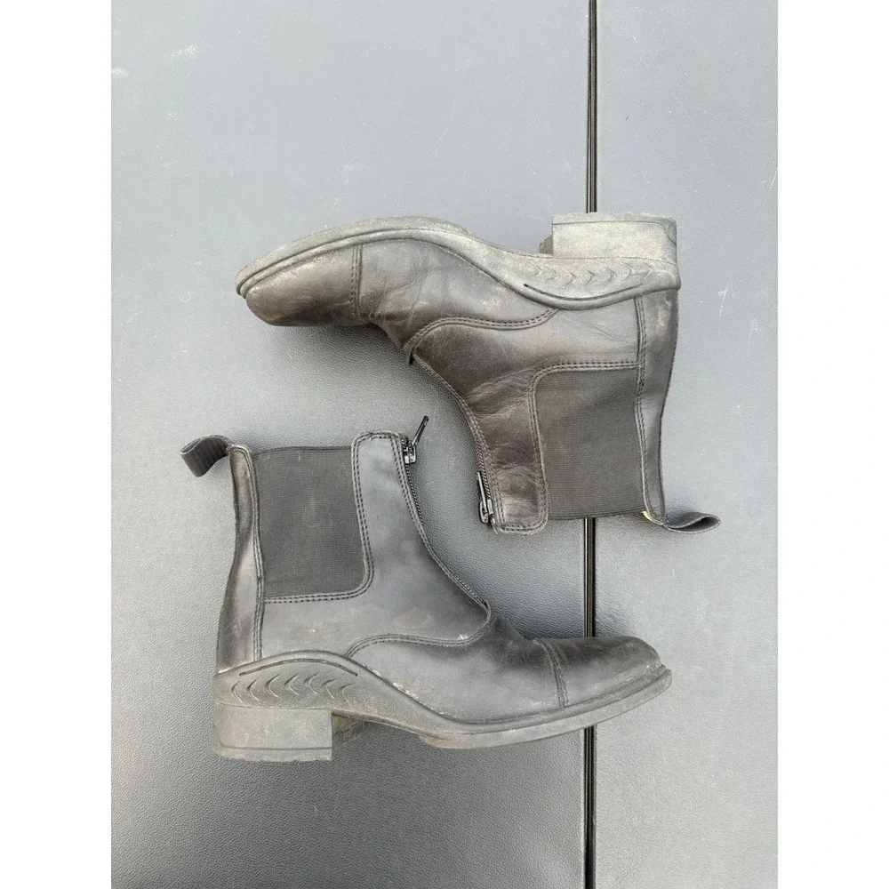 Equestrian Equine Shop equestrian equine