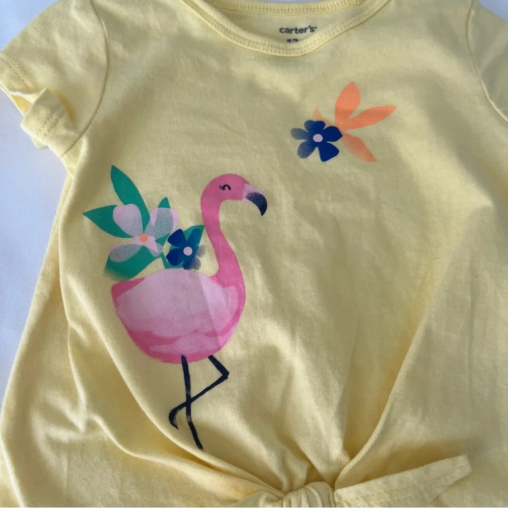 Toddler 2-Piece Flamingo Tee &‎ Short Set