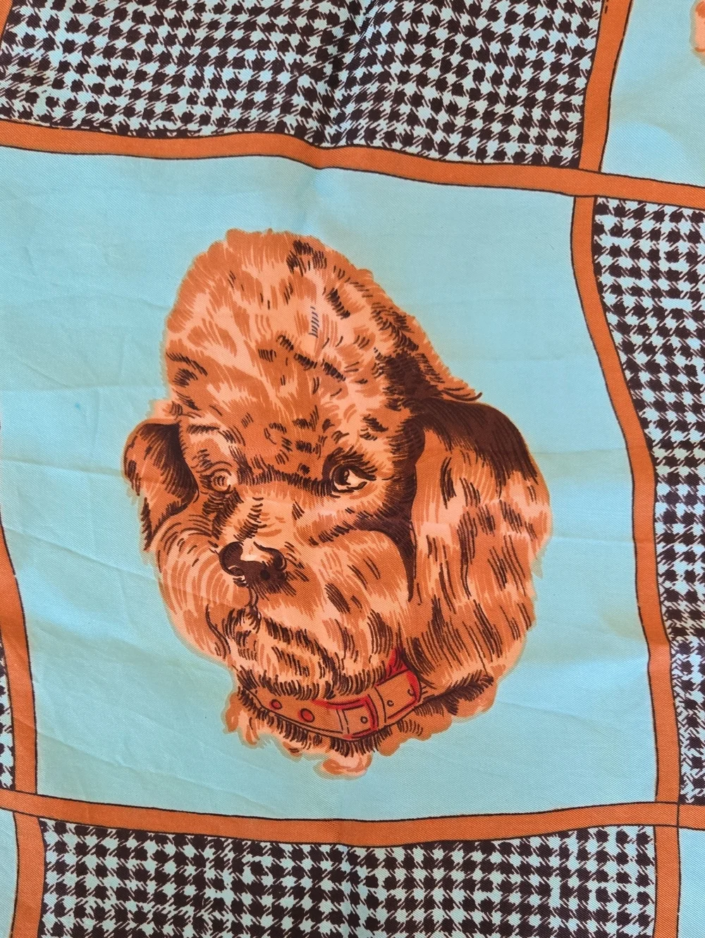 N/A picture dog