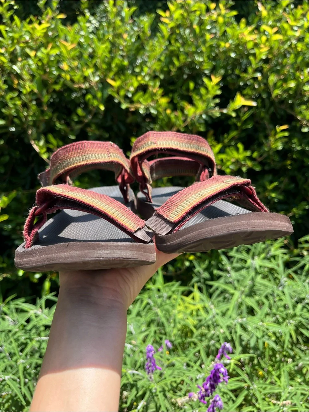 Teva great see
