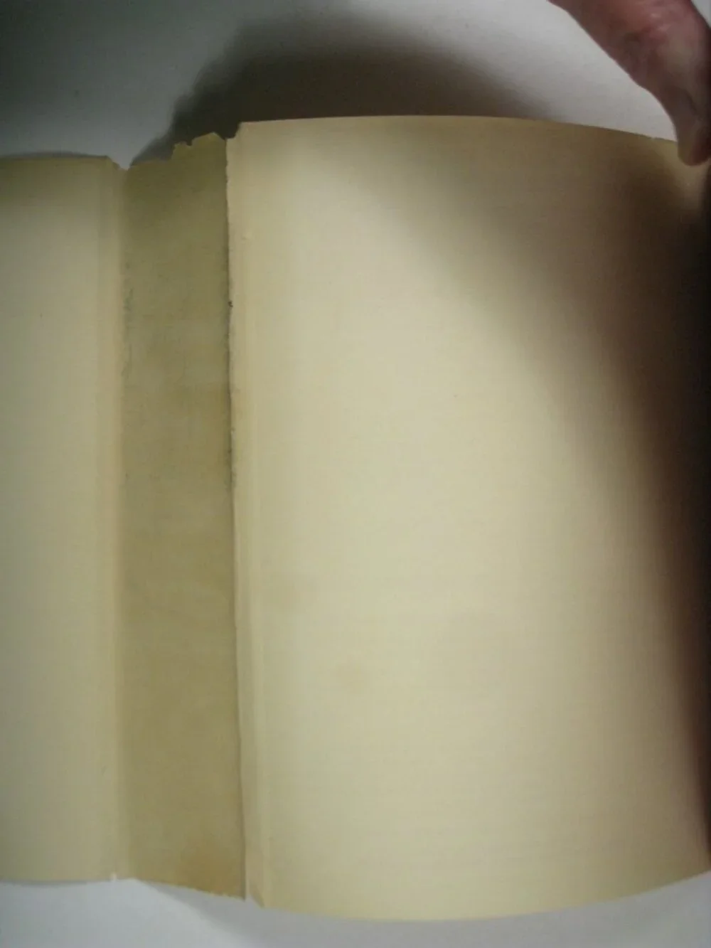 Jerre S. Williams dust jacket