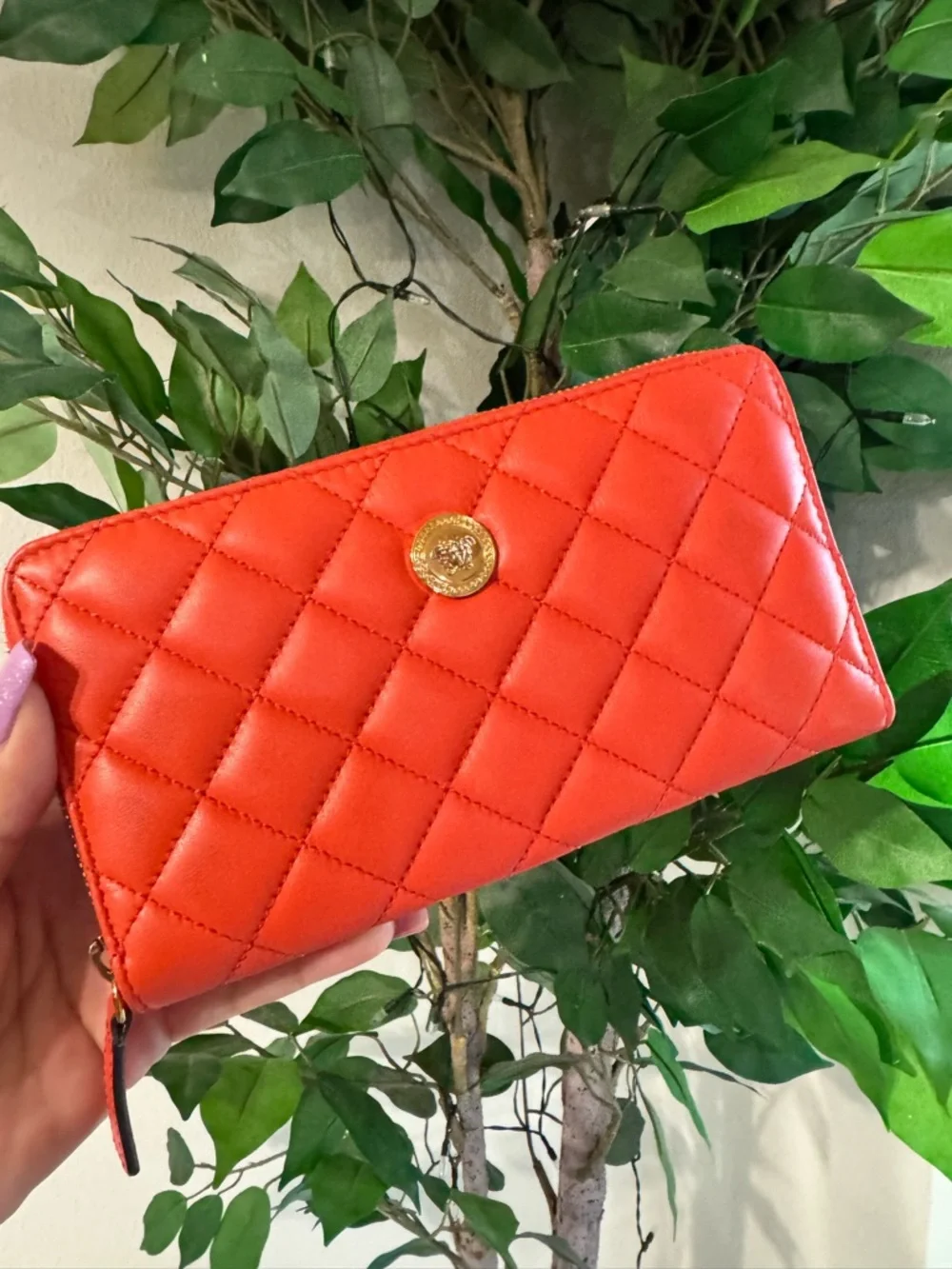 Versace la medusa