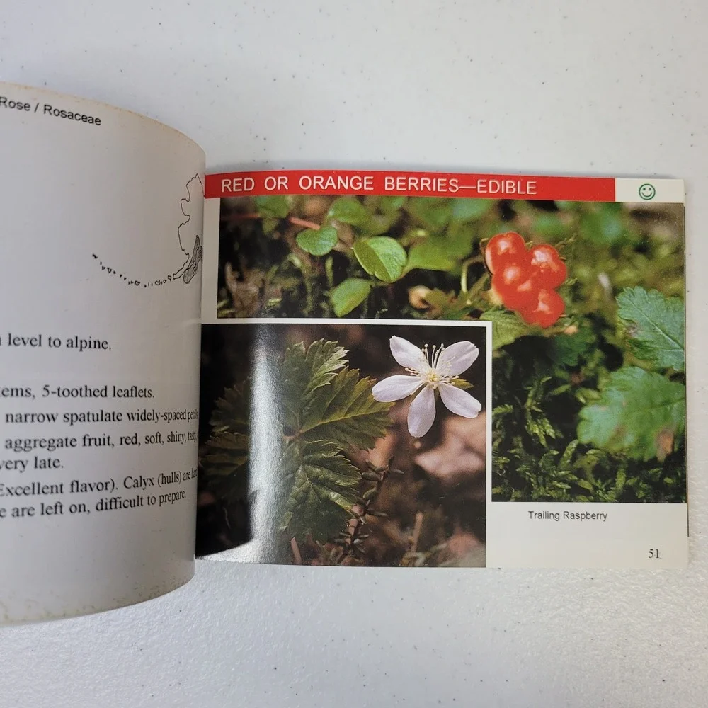 Its the Berries land genre full