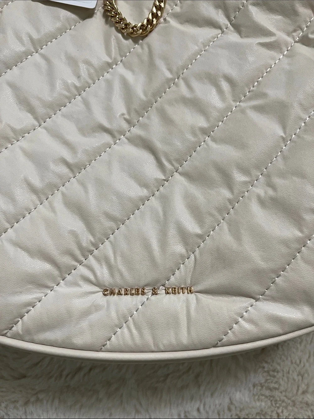 Charles & Keith elegant crescent