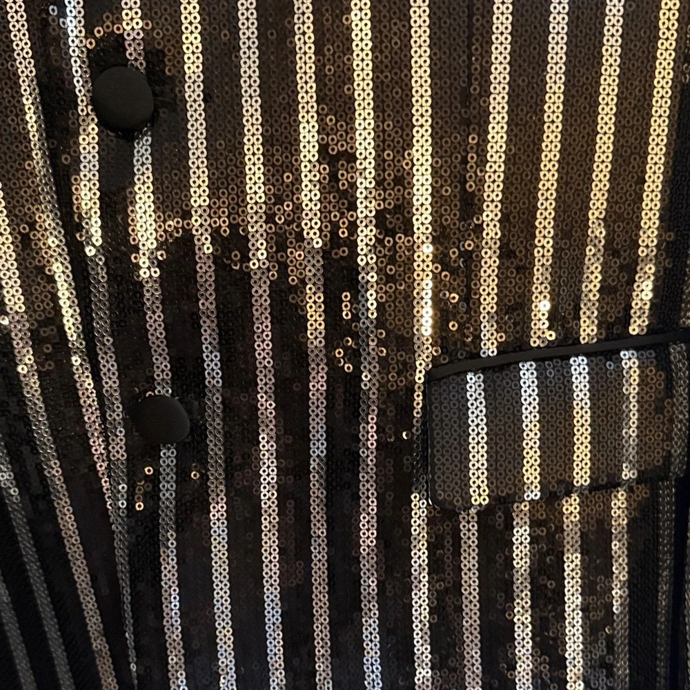 Zara notch sequin lined