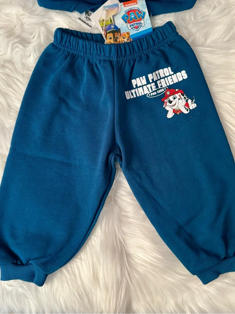 Zara paw patrol