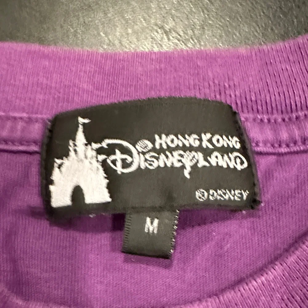 Disney castle purple characters