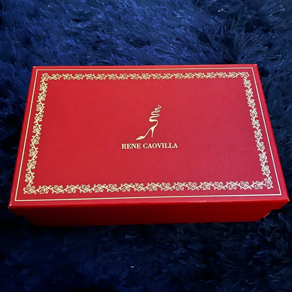 Rene Caovilla elegant pointed