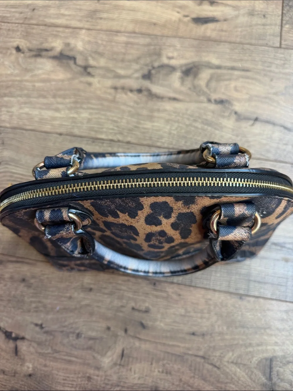 Steve Madden brand steve