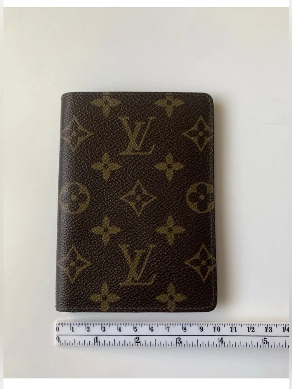 Louis Vuitton monogram canvas
