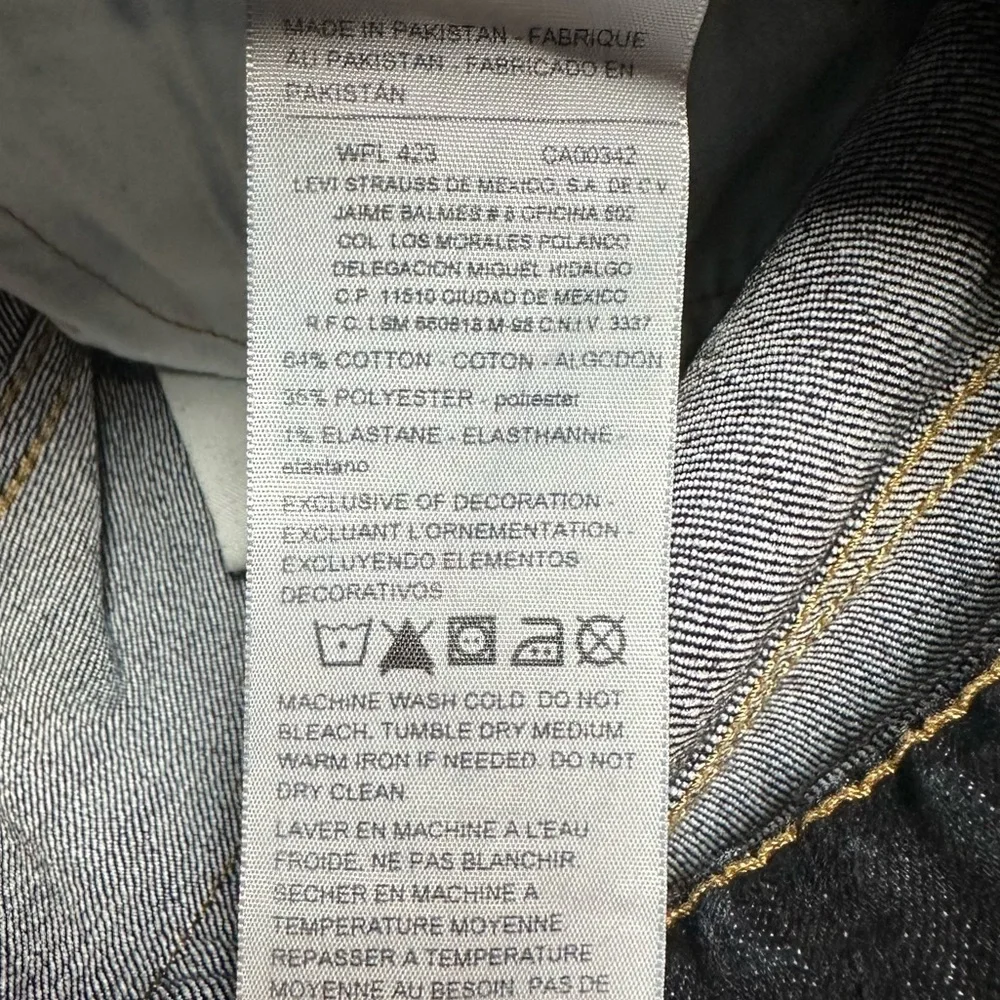 Denizen from Levis denizen from