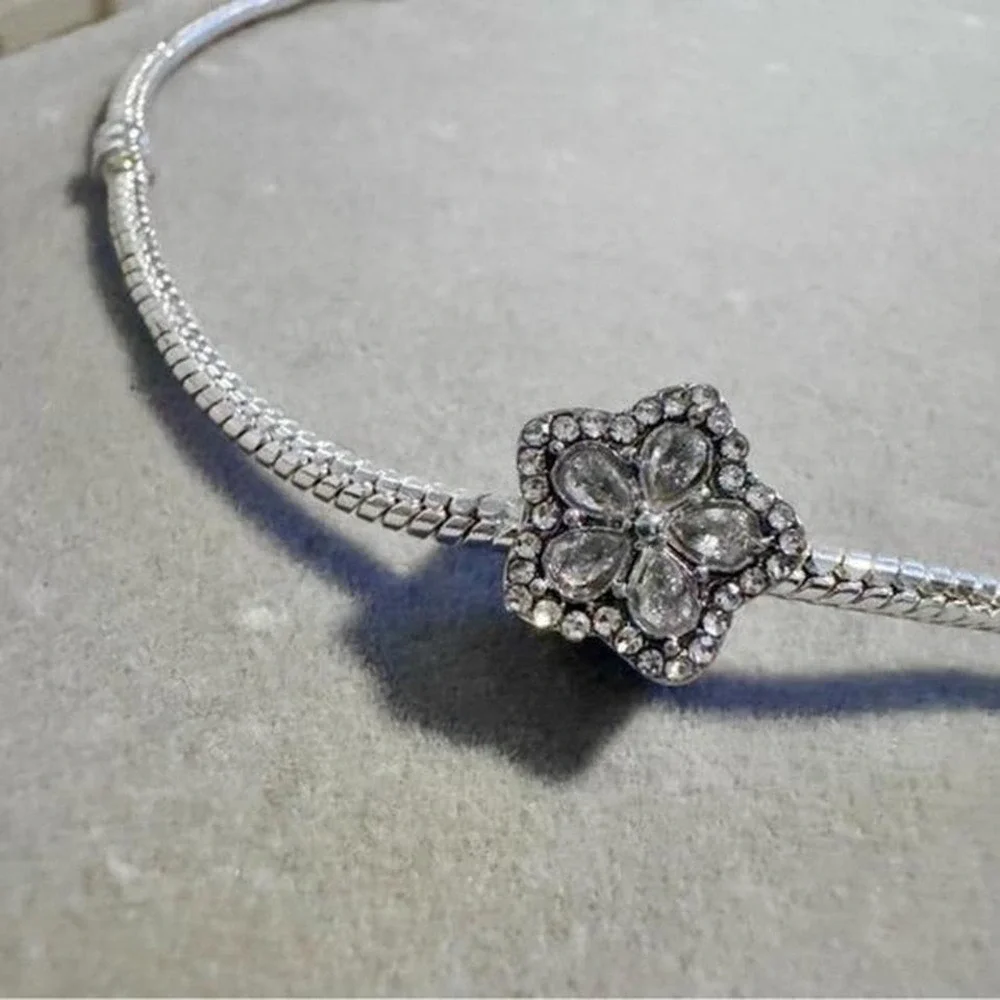 Pandora brand new