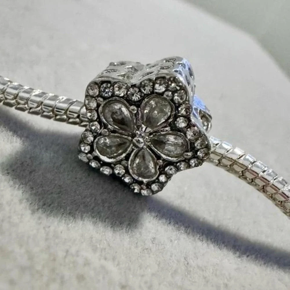 Pandora brand new